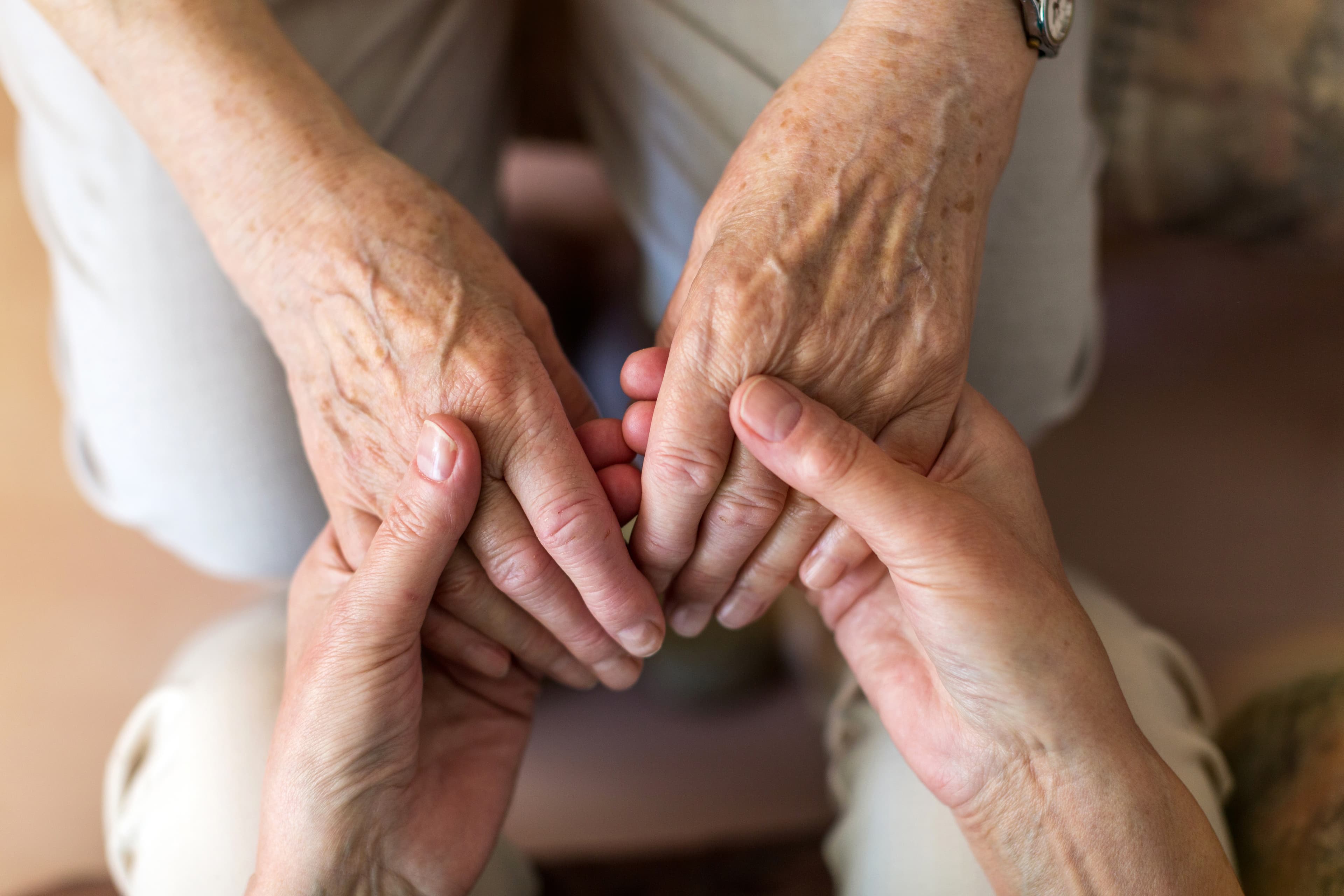 Older and younger hands, clasped, in soft window light.